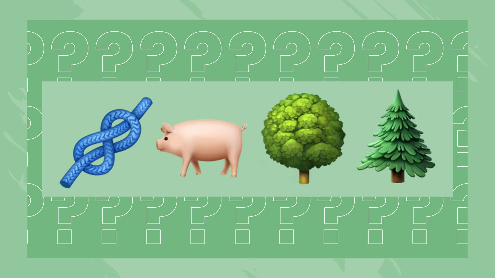 这场比赛不 这场比赛不